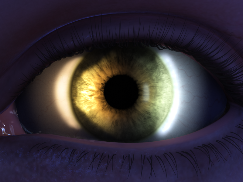 Eye